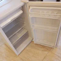 مینی بارایستکو