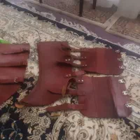 تاندون بند و ساق بند اسب