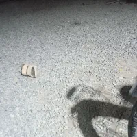 زمین 250متر قولنامه. کنار جاده محمداباد روشهرداری