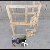 ساعت( عکس )|ساعت|زابل, |دیوار