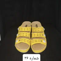 کفش زنانه|کیف، کفش، کمربند|اهواز, شهرک دانشگاه|دیوار