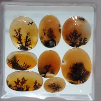 عقیقهای شجر بینظیر کلکسیونی