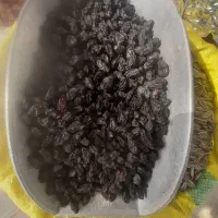 فروش عمده مویز سیاه کردستان دیم.ریز و درشت ۱۴۰۴|خوردنی و آشامیدنی|رودهن, |دیوار