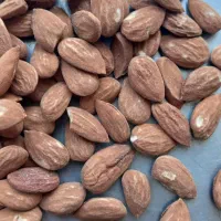 انواع مغز بادام ایرانی|خوردنی و آشامیدنی|قم, میدان نو|دیوار