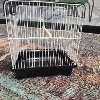 قفس حمل و نفل پرنده