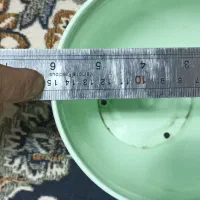 گلدان پلاستیکی|گل و گیاه طبیعی|تهران, مسعودیه|دیوار