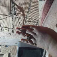 انگشتر برنجی معاوضه با برنج روغن موادغذای