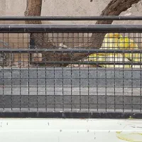 باربند پیکان|قطعات یدکی و لوازم جانبی|رزن, |دیوار