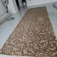 موکد کاملیا ظریف مصور