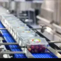 استخدام نیروی کار