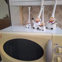 ماکروفر مایسون