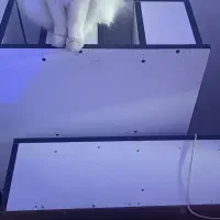 تخت دونفره|تخت و سرویس خواب|رشت, نخودچر|دیوار