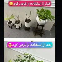 قرص کود عالی ۱۲۰ عددی|گل و گیاه طبیعی|تهران, جردن|دیوار