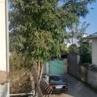 فروش چوب ...نیازمند خریدار با دستگاه برای قطع درخت|مصالح و تجهیزات ساختمان|قائم‌شهر, |دیوار