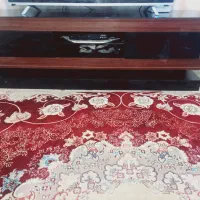 زیرتلویزیون