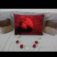 روبالشتی مخمل لوکس لمینت شده طرح آوا کد۹۰۹|رختخواب، بالش، پتو|تهران, آشتیانی|دیوار