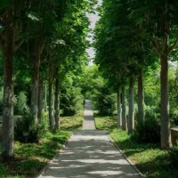 باغ گروه 5 ( ماده 14 ) شیمی گیاه