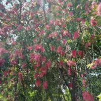 راهنمائی میخواستم