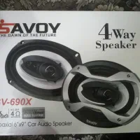 باندساووی پلم توکارتن