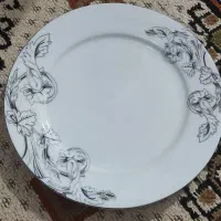 ۶ دست، بشقاب و پیش دستی چینی پارس