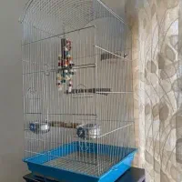 قفس.مرکز فروش۰جشنواره کریسمس