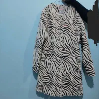 پالتو خزدار