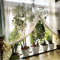 تهاتر یا فروش آپارتمان95متری در جوانمرد قصاب|فروش آپارتمان|اسلامشهر, شهرک واوان|دیوار