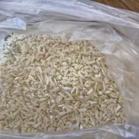 فروش برنج طارم هاشمی و سرلاشه