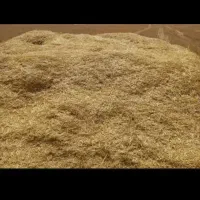 کاه درجه یک گندم جو