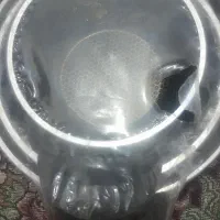 قابلمه زنبوری