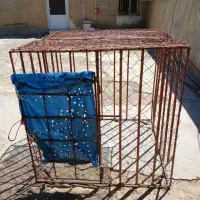 قفس سگ|لوازم جانبی حیوانات|قروه, |دیوار