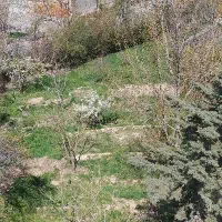 راننده کمباین۵۵ساله  هستم با ۲۵سال سابقه کارو فنی