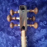 تار شاهرخ|سازهای سنتی|تهران, افسریه جنوبی|دیوار