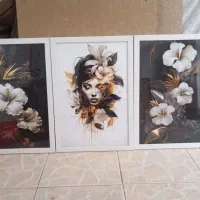 تابلو ۳تیکه|تابلو، نقاشی، عکس|شاهرود, |دیوار