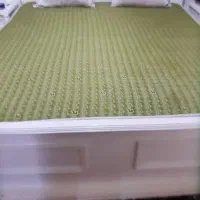 تخت تمام چوب