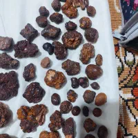 شهاب سنگ|کلکسیون اشیاء عتیقه|شیراز, شیخ علی چوپان|دیوار