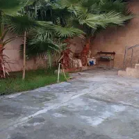 اجاره ویلادوخوابه 250متر.حوضچه آبگرم.نزدیک دریا|اجارهٔ کوتاه‌مدت ویلا و باغ|فرح آباد, |دیوار