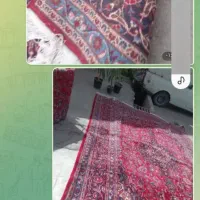 فرش دستباف کرمان 12متری فروش