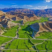 برنج درجه ۱ دم سیاه کلات|خوردنی و آشامیدنی|مشهد, فرهنگیان (شهرک غرب)|دیوار