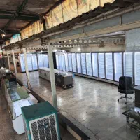 یخچال ایلیا طرح جدید