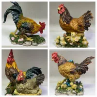 تندیس مرغ خروس دکوری رومیزی طوطی دیوارکوب|مجسمه، تندیس، ماکت|تهران, پرستار|دیوار