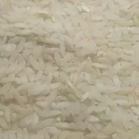 برنج چمپای خانمیرزا