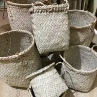 گلدان حصیری