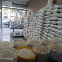 برنج های اصیل ایرانی