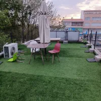 چمن مصنوعی با کیفیت پنجاه میل|گل مصنوعی|رشت, فخب|دیوار