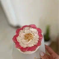 اموزش مجازی چیزکیک ها