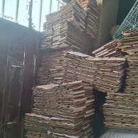 کارتن انبه