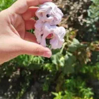 نماد سال جدید (عید )