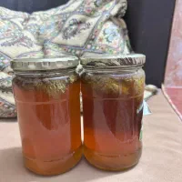 عسل کنار بدون شم