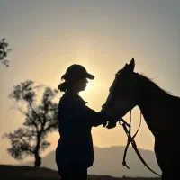 اسب سواری کوهدشت (مجموعه تفریحی)|خدمات آموزشی|کوهدشت, |دیوار